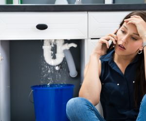 About Emergency plumbing pros Sheyenne, ND